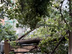 -杭州城北体育公园