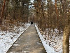 -帽儿山国家森林公园