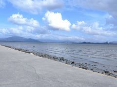 -福田红树林生态公园