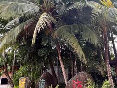 -呀诺达热带雨林