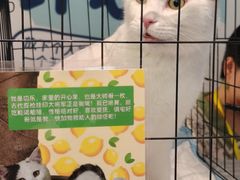 -北京望京万象汇