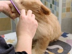 -全心全意连锁动物医院·特色中医诊疗(会城门分院)