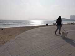 -海云台海滩