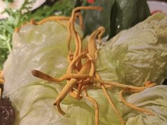 -麻路成都火锅(柏威年店)