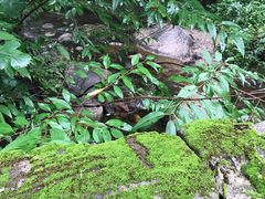 -碓臼峪自然风景区