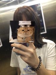 -TK·HAIR SALON韩式设计