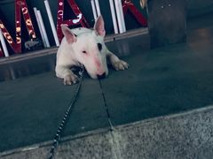 -帝玛进口精品超市D-MART