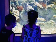 -福州罗源湾海洋世界旅游区