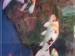 -泉州海丝野生动物世界