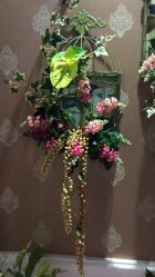 -芳朵美容养生SPA