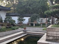 -上海醉白池公园