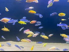 -同至人购物中心(朝阳街店)