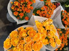 -双季花艺园艺市场(浦东店)