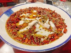 -邵年鸽(杨庄店)