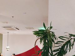 -九鼎轩脆毛肚火锅(三钢里店)