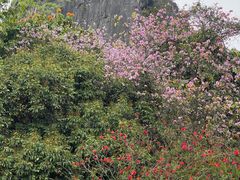 -南宁花花大世界景区