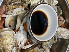 海鲜-老家黄墩小错鸡·活海鲜