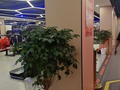 -阳光国际游泳培训基地