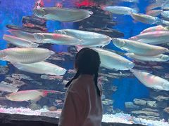 -多彩贵州城极地海洋世界