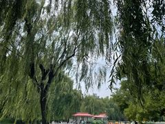 -丰台花园