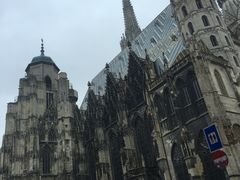 -斯蒂芬主教座堂(Stephansdom)