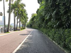-南宁南湖公园