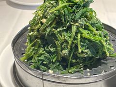 -金春禧(世茂国际广场店)