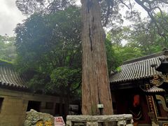 -青岛崂山太清宫