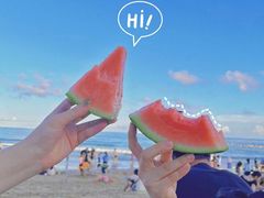 -西涌国际滨海旅游区