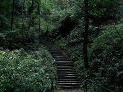 -青城山