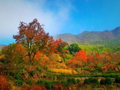 -塔川景区