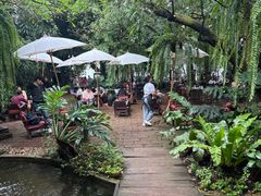 -Fern Forest Cafe