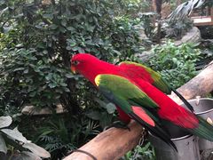 -南宫五洲植物乐园