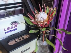 -HANA COFFEE(长寿路店)