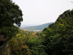 -韬光茶庵