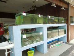 -真浪大家乐海鲜餐馆