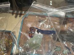 -辽宁省博物馆观众餐厅