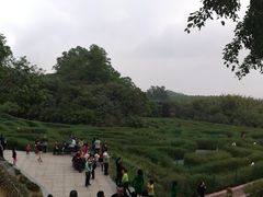 -大屏嶂森林公园
