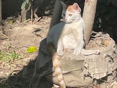 -火车头法国西餐厅