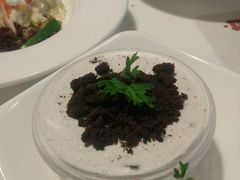 奥利奥盆栽-爱丽丝牛排西餐厅(光谷步行街店)