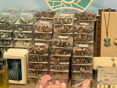 -苏州金鸡湖中茵皇冠假日酒店