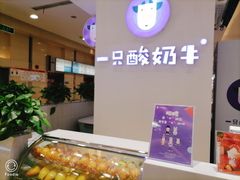 -一只酸奶牛(百联南岸上海城店)