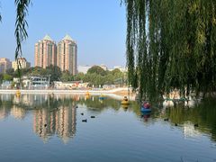 -团结湖公园
