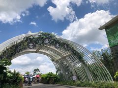 -江门古劳水乡旅游区