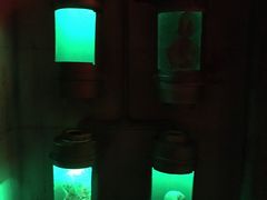 -秃鹫湾·推理大师沉浸式实景演绎推理剧场