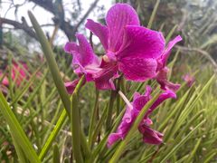 -海南热带野生动植物园