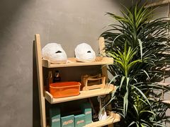 -施奈儿.洗头頭療.按摩SPA.采耳(上梅林店)