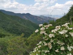 -阳台山自然风景区