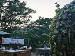 -蘇河湾·新鲁菜·泰山宴(泰山店)