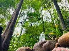 -花水湾第一村温泉大酒店